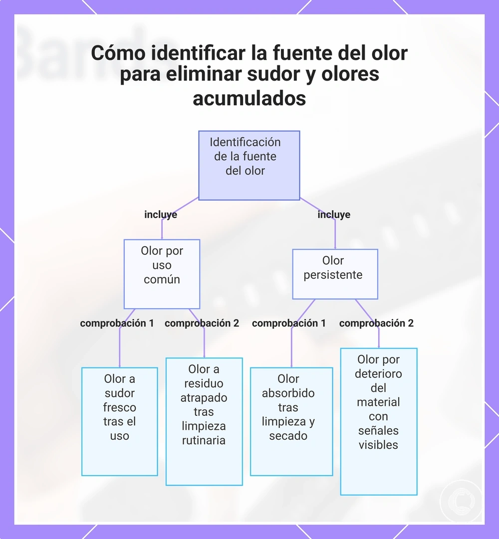 Cómo identificar la fuente del olor para eliminar sudor y olores acumulados
